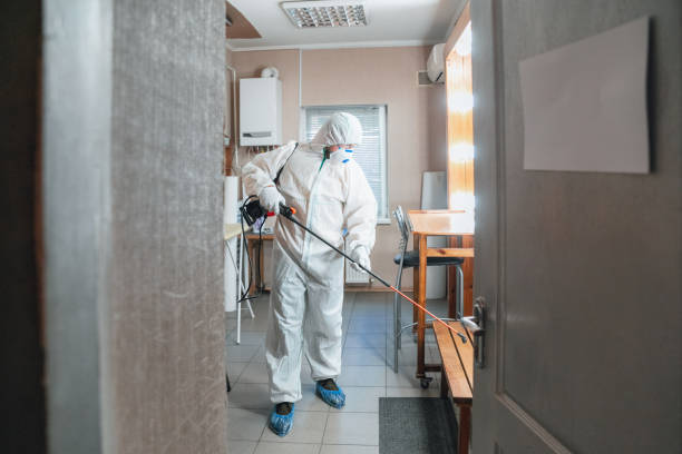 Best Real Estate Mold Inspection  in Danbury, CT