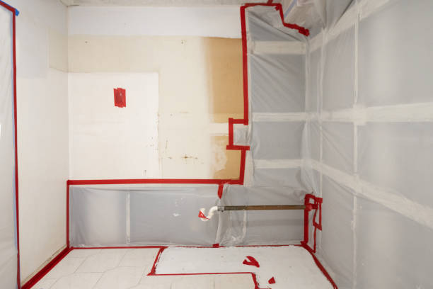 Professional Mold Removal in Danbury, CT