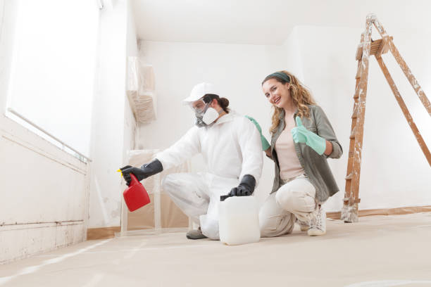 Best Biohazard Mold Removal  in Danbury, CT